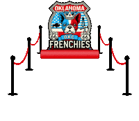 French Bulldog Sticker by OKC Frenchies