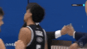 Partizan GIF by sportmts