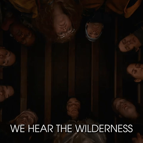 We Hear The Wilderness And It Hears Us