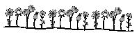 White Flowers Sticker
