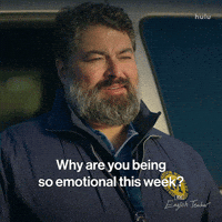 Sad Fx Networks GIF by English Teacher FX