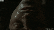 can't sleep bbc two GIF by BBC