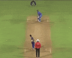World Cup Final India GIF by Amarillo College
