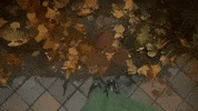 Angel GIF by Topshelf Records