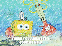 season 5 episode 20 GIF by SpongeBob SquarePants