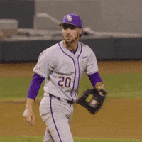 Lets Go Baseball GIF by LSU Tigers