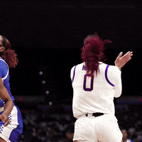 Lets Go Basketball GIF by LSU Tigers