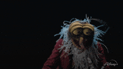 GIF by Disney+