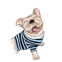 happy dog Sticker by Ivo Adventures