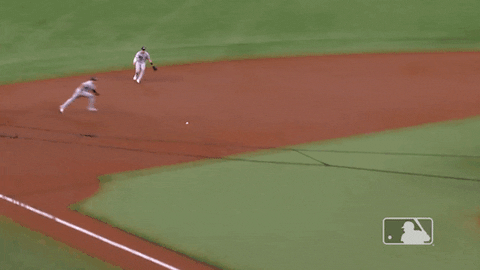 New York Sport GIF by MLB