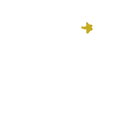 Star Sticker