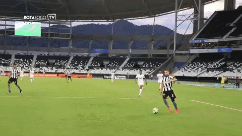 botafogo futebol e regatas GIF by Botafogo