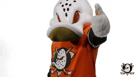 Wild Wing No GIF by Anaheim Ducks