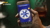 Spin Casino GIF by Bet.pt