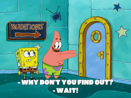 season 7 greasy buffoons GIF by SpongeBob SquarePants