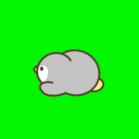 Dance Penguin GIF