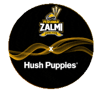 HushPuppiesPK puppies hush peshawar zalmi Sticker