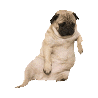 dog STICKER by imoji