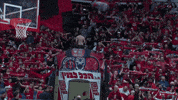 fans flag GIF by Basketball Champions League