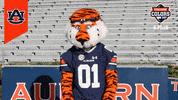 College Football GIF by College Colors Day
