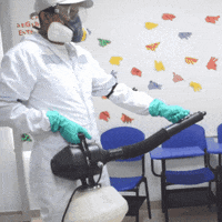 Desinfeccion Control De Plagas GIF by copla group