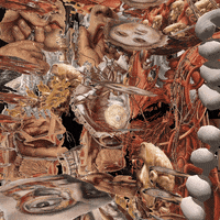 reinbijlsma trippy nft alien vr GIF