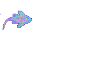 Party Celebrate Sticker by Dinaaaaaah