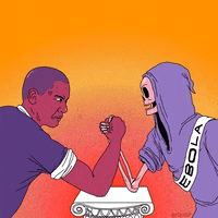 fox artists on tumblr GIF by Animation Domination High-Def