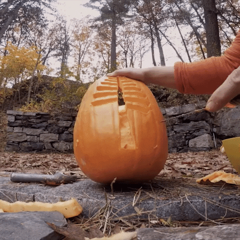 Halloween Pumpkin GIF by Dartmouth College