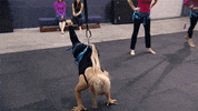 family time babies GIF by Lifetime