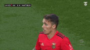 Sassy Sl Benfica GIF by Sport Lisboa e Benfica