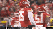 National Football League GIF by NFL