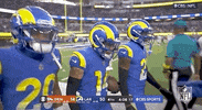 Los Angeles Rams Football GIF by NFL