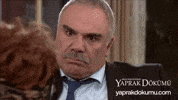 Kavga Ayse GIF by Yaprak Dökümü