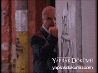 yaprakdokumu yumruk ali rıza hande yener yaprak dokumu GIF