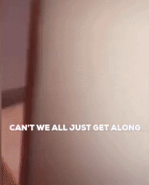 fightmilker giphyupload cat bathroom toilet GIF