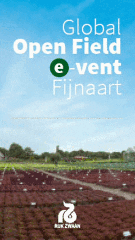 Vollegrondsgroentenet giphygifmaker open-field GIF