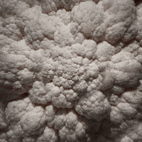 Viral Video Wtf GIF by Feliks Tomasz Konczakowski