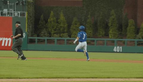 BlueHens giphyupload baseball clapping slide GIF