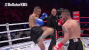 GIF by Bellator