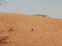 KirillStec loop water lost desert GIF