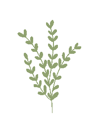 Lettering Flores Sticker