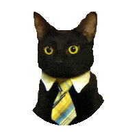 like a boss STICKER by imoji