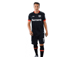 Bayer 04 Goal GIF by Bayer 04 Leverkusen