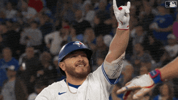 Blue Jays Smile GIF by Toronto Blue Jays