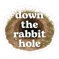 Rabbit Hole Research Sticker by NZ Collab