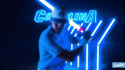 North Carolina Baseball GIF by UNC Tar Heels