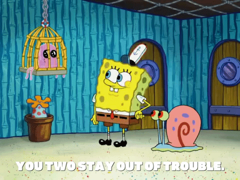 season 8 GIF by SpongeBob SquarePants
