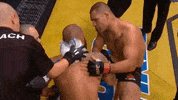 sorry ufc 200 GIF