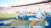 Miami Dolphins Football GIF by NFL